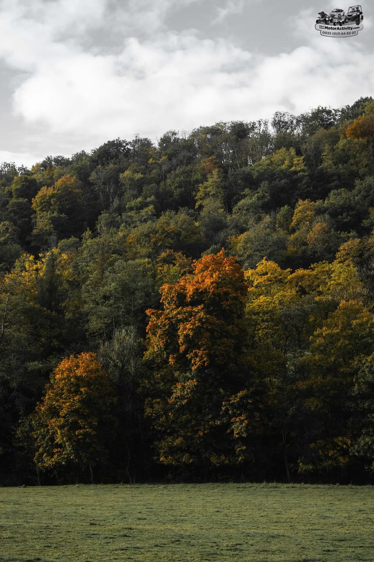 Ardennen
